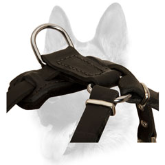 Extreme comfort leather harness
