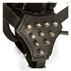 Stylish riveted spikes for dog harness