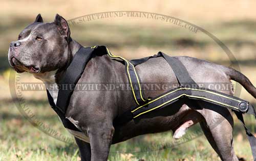 Weight Pulling Nylon Dog Harness