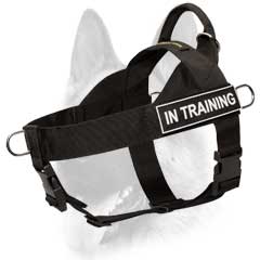 Control easy handling nylon dog harness