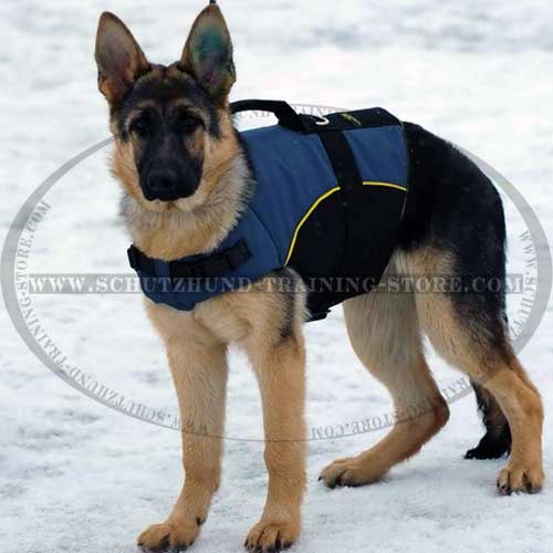 Universal Nylon Dog Harness