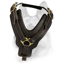 Handmade luxury leather walking harness