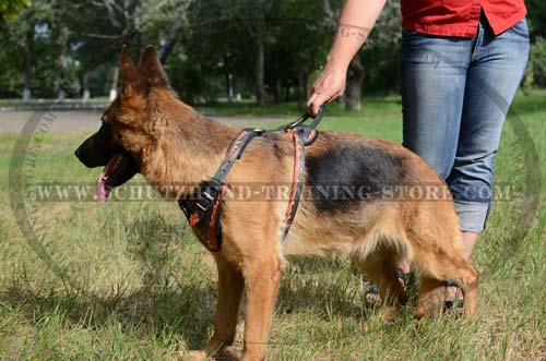 Painted Leather Dog Harness