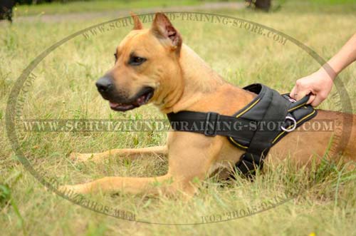 Pulling Nylon Dog Harness