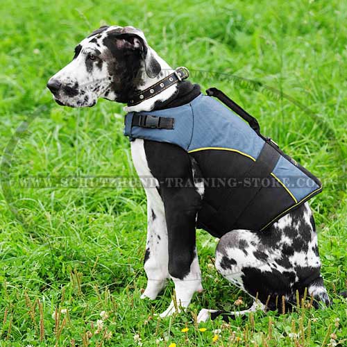 Designer Nylon Dog Harness
