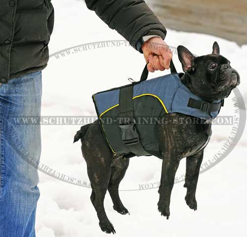 Easy Walking Dog Harness