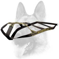 Extra ordinary designer nylon dog harness