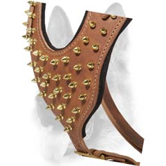 Unique leather dog harness with spikes