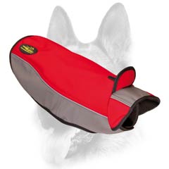 Well-fitted winter dog coat