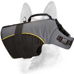 Easy-to-use safe professional nylon dog harness