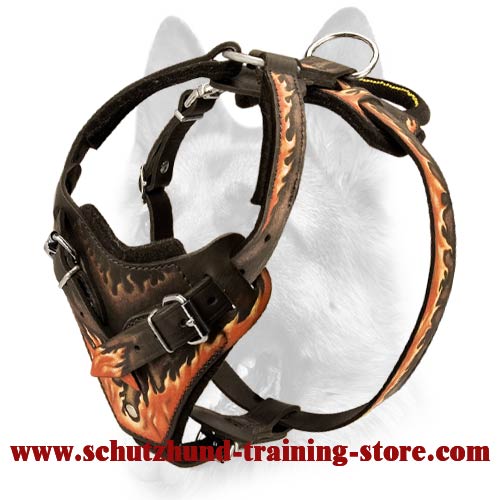 leather dog harness