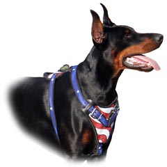 Safety walking fully leather dog harness