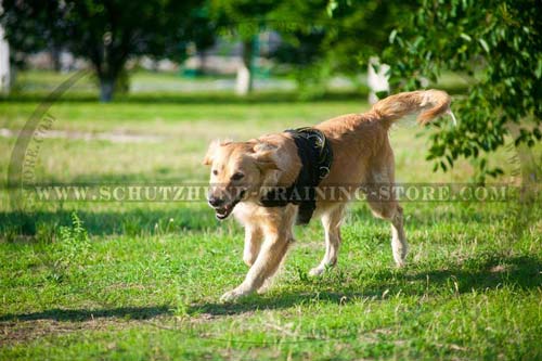 Practical Nylon Golden Retriever Harness for Any Weather