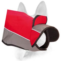 Colored lightweight winter dog coat