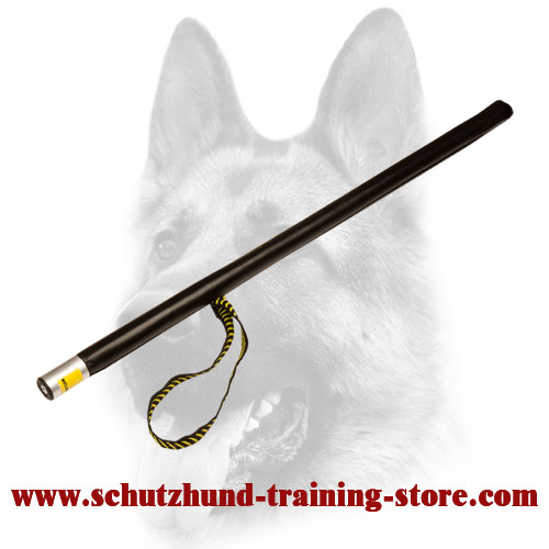 K9 agitator training 2025