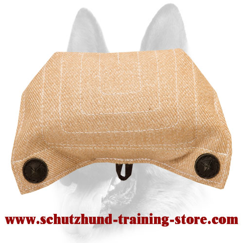 High Grade Jute Bite Builder for Young Dogs and Puppies