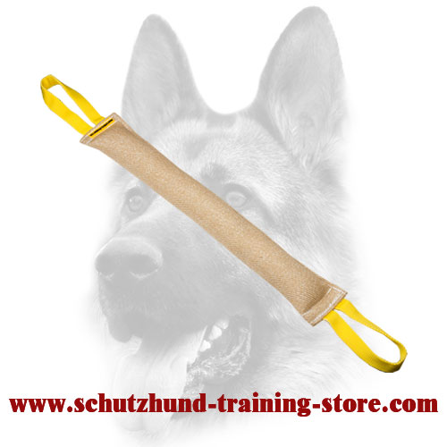 Splendid Durable Jute Dog Bite Tug