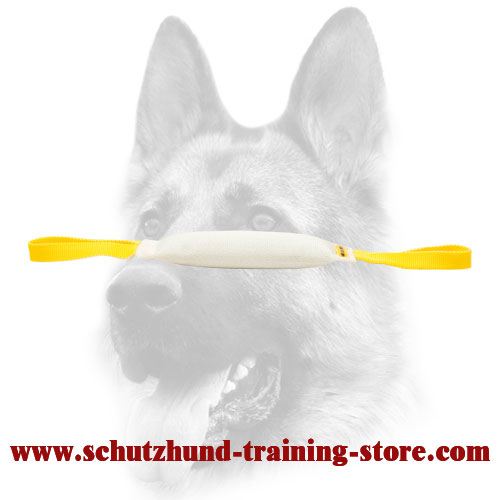 Lightweight and Sturdy Fire Hose Dog Bite Tug