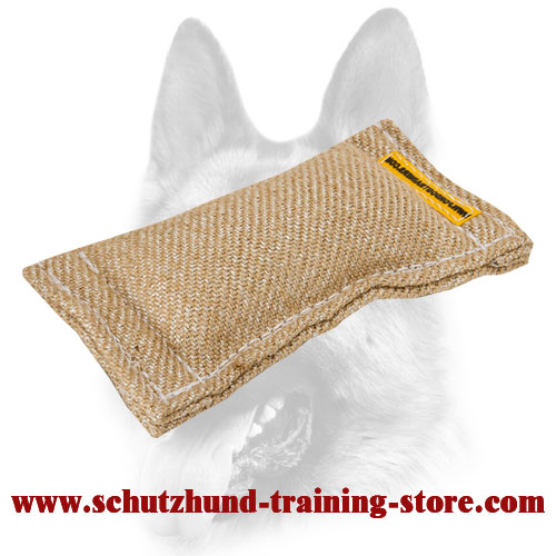 Puppy Training Jute Bite Tug Without Handles