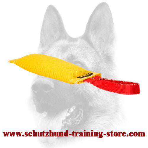 Puppy Bite Tug Made of French Linen