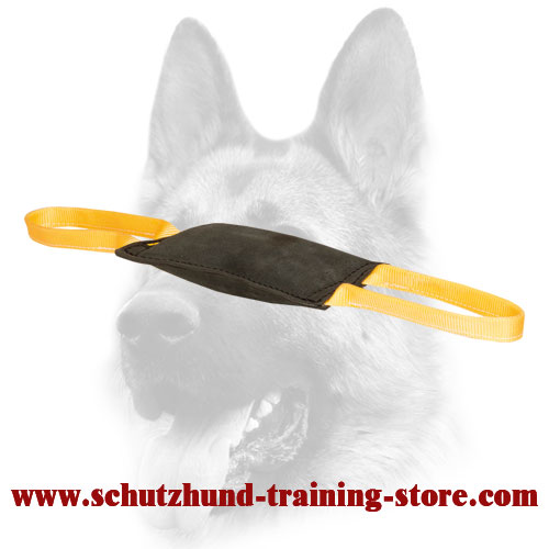 Excellent Leather Bite Tug for Young Dog Training