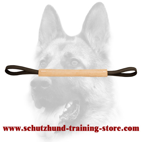 Superb Leather Bite Tug for Puppy Training