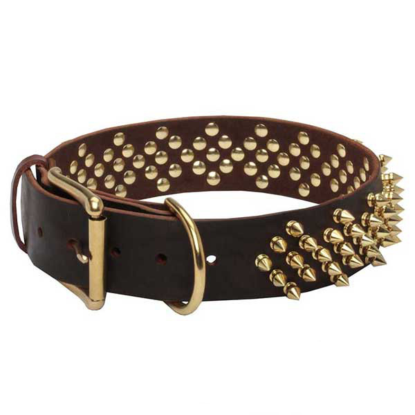 Leather Dog Collar with Brass Spikes Set in Waves
