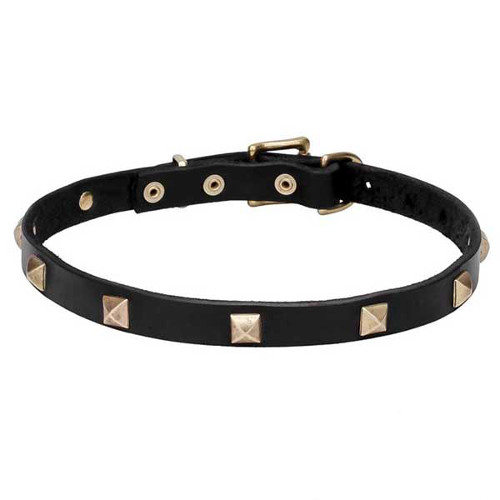 "Modern Style" Leather Dog Collar with Brass Studs