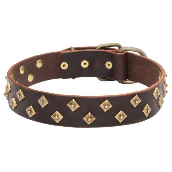 Outstanding Quality Genuine Leather Dog Collar with Brass Pyramids
