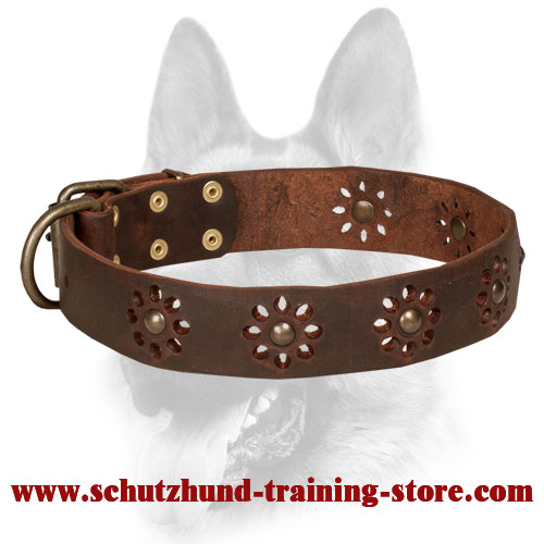 Excellent Leather Dog Collar with Adorable Decorations