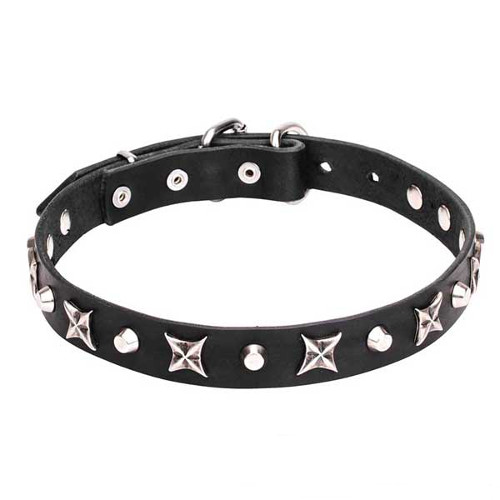 Leather Dog Collar with Shiny Nickel Plated Stars and Pyramids