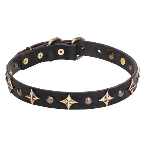 Leather Dog Collar with Old Bronze-plated Half-ball Studs and Stars