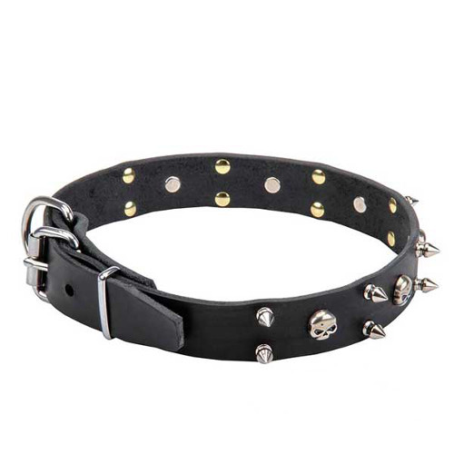 Leather Dog Collar with Skulls and 2 Rows of Spikes