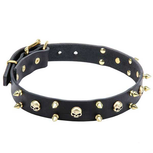 Dependable Leather Dog Collar with Spikes and Skulls