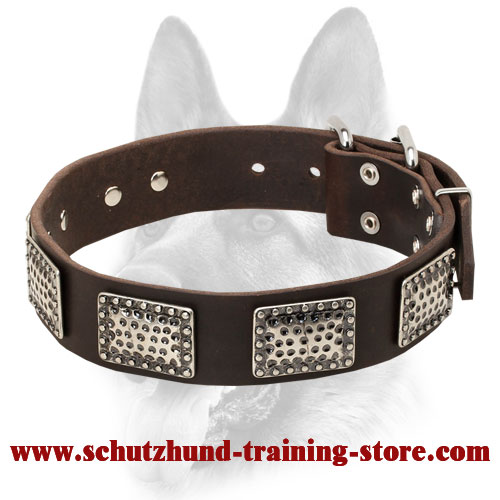 Winner Stylish Dog Leather Collar