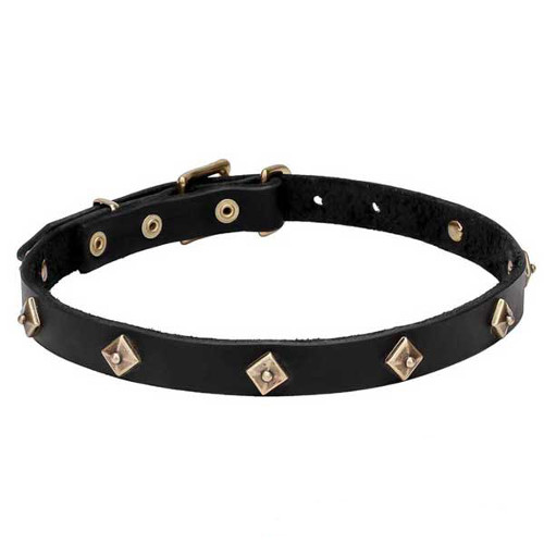 'Rhombi' Leather Dog Collar with Brass Decoration