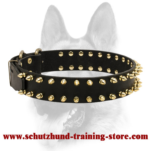 Bright Spiked Leather Dog Collar