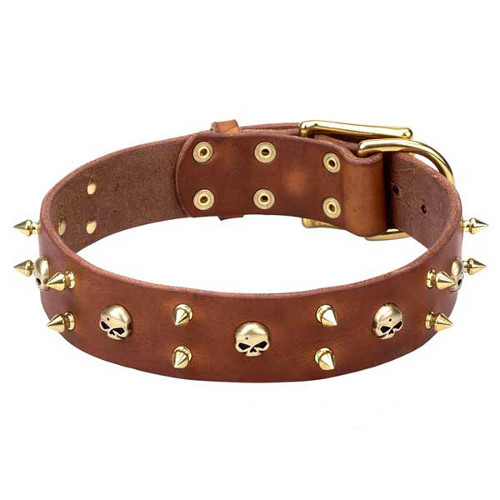 Natural Leather Dog Collar with Brass Spikes and Skulls