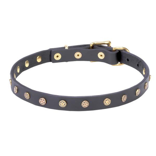 Elegant Leather Dog Collar with Brass Decorations