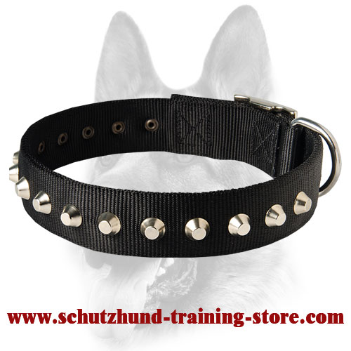 Gorgeous Wide Nylon Dog Collar With Nickle Pyramids