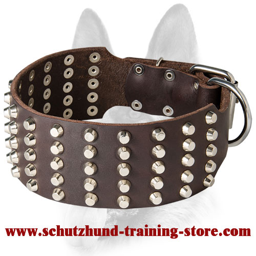 Extremely Wide Dog Studded Leather Collar
