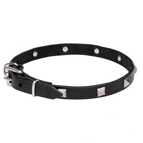 Delightful Leather Dog Collar with Chrome Plated Pyramids