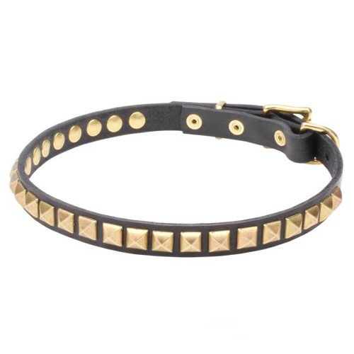 Narrow Leather Dog Collar with Brass Studs
