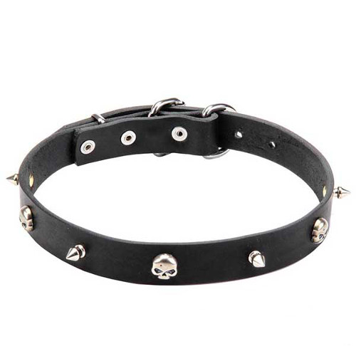 Leather Dog Collar with Nickel Plated Spikes and Skulls