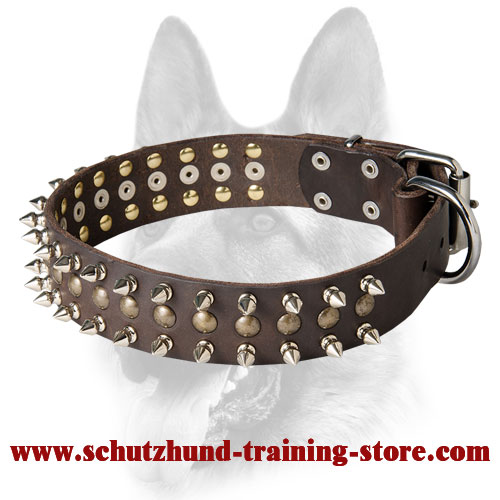 Splendid Leather Dog Collar Decorated with Spikes and Studs