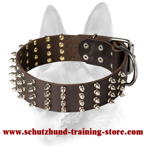Genuine Leather Spiked Dog Collar