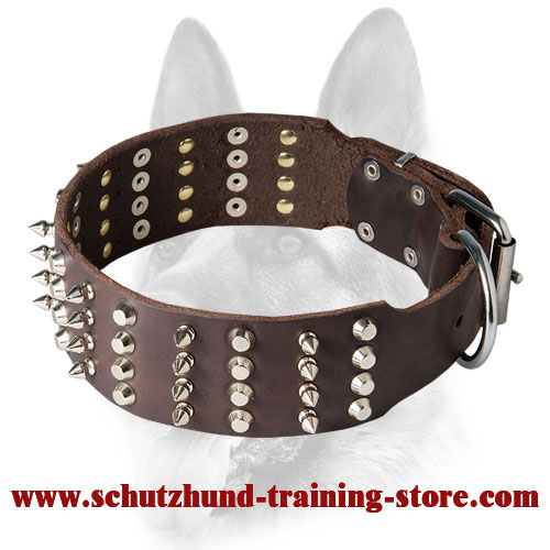 2 inch Leather Dog Collar with Studs and Spikes for Working Dogs