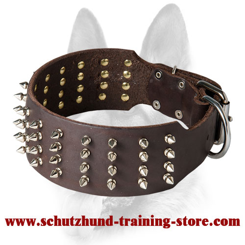 Extra Wide Leather Dog Collar with Silver-Like Spikes