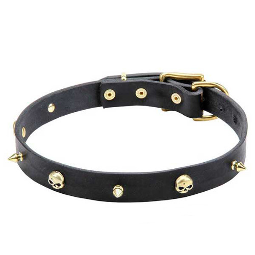 Leather Dog Collar with Brass Spikes and Skulls