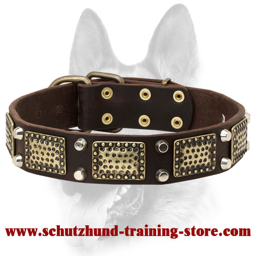 Stylish Dog Leather Collar with Brass-Covered Decorations